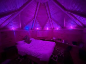 evening-lights-there